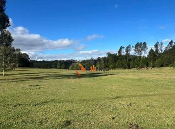 9d01662c6e14b41b9dc81027e2f631010d176637 · Terreno à venda, 80000 m² no Centro de Campina Grande do Sul/PR