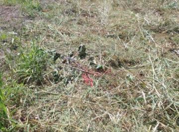 521f5212ff0972e91bb85d39e1f38b4bf3687c58 · Terreno à Venda no Villas do Mirante em Ribeirão Preto. Ótima Localização.