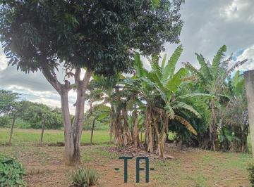 Rural de 3 quartos, Ceilândia · CHÁCARA COM CASA DE LAJE E DIVERSAS FRUTAS – CEILÂNDIA (APÓS A PRF)