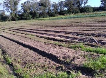Terreno · 47428600m² · Terreno Residencial em Lageado