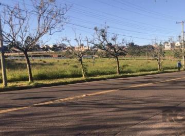 Terreno · 4704m² · Amplo terreno com 4.704m²