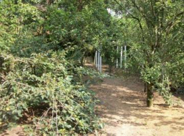 Casa · 799m² · 3 Quartos · Sobrado para Venda - 800m², 3 dormitórios, Belém Novo