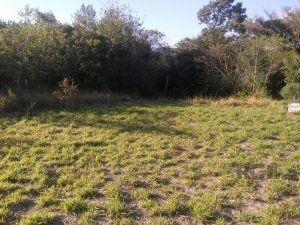 Terreno · 800m² · Terreno Residencial em Ponta Grossa
