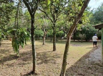 Rural · 6120m² · Sítio em Porto Alegre, no bairro São Caetano, à venda.