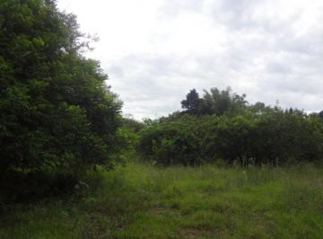 Terreno · 5080m² · Terreno para Venda - 0m², 0 dormitórios, Lami