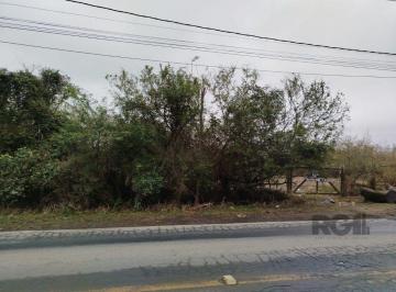 Terreno · 20249m² · Terreno no Bairro Serraria com 20.250m²
