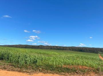 Rural · 395ha · Fazenda em Santo Antônio do Rio Verde, Catalão/GO