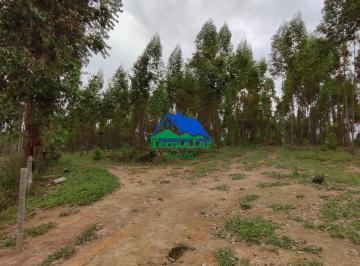 Rural · 90ha · 2 Quartos · Fazenda à venda em Área Rural, Aiuruoca, MG