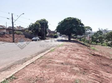 Foto 01 · Terreno, Conjunto Habitacional Francelino Pereira dos Santos (pinheir, Alfenas, MG