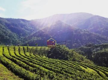 475eeb08526e39385d7514b822bb00ab67ca735a · Fazenda com 2 dormitórios à venda, 540000 m² por R$ 3.200.000 - Distrito dos Franceses - Carvalhos/M