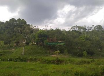 89cd432126804c373d8685704afcb97b3af481eb · Fazenda com 3 dormitórios à venda, 701800 m² por R$ 1.540.000,00 - Chácara Ipês - Caçapava/SP