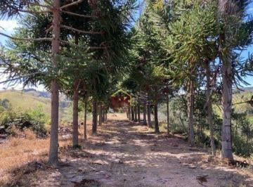 e3dd6cc545cbffaba9ac8475df8cadfe199c6684 · Sítio com 1 dormitório à venda, 198000 m² por R$ 5.645.000,00 - Pinhal Novo - Lorena/SP