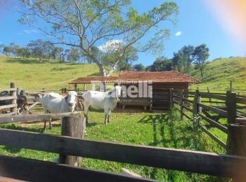 Rural · 200000m² · Sítio à venda, São Gonçalo - Taubaté/SP