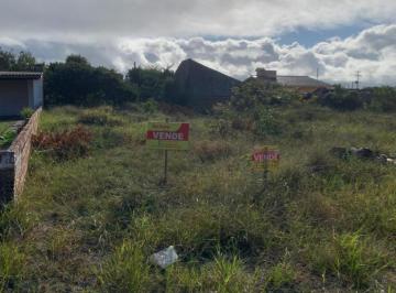 538918.jpg · Terreno - Bairro Arroio Teixeira