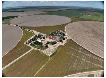 e8a4cbaabfe9ba2d8b9348d446c86e12.jpg · Fazenda com 1.125 hectares, na região de Barreiras - BA, estruturada