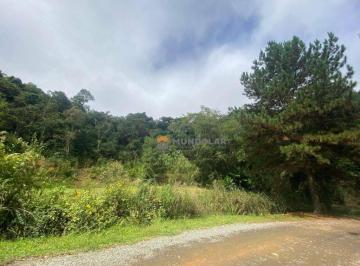 e2049fa69cfebef5c9207e43e3e44ec1c5f50699 · Chácara com 5 dormitórios à venda, 24200 m² por R$ 850.000,00 - Ribeirão Barragem - Campina Grande d