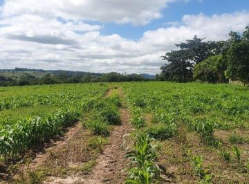 Rural · Rurais à venda - em Botucatu