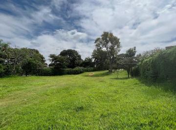 Terreno · 3000m² · Terreno à venda no bairro Centro - Itaí/SP