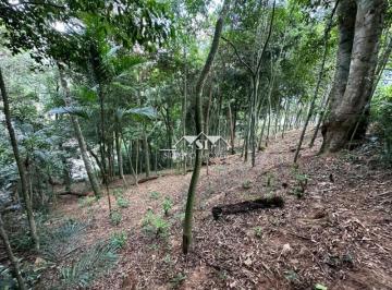 Foto-Imovel-ID063648No0005-terreno-mosela-petropolis--17398922623778.jpeg · Imoveis - em Mosela