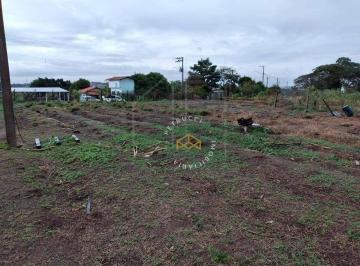 18c573be6884bac7377f71abed422d75cfdc3635 · Terreno à venda, 5000 m² por R$ 550.000,00 - Campo Grande - Campinas/SP