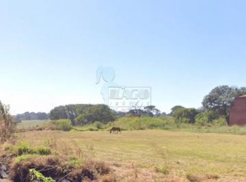 Terreno · 340m² · Terreno Comercial de 340m² para locação e venda - Vila Elisa