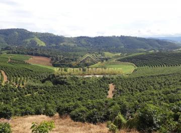 20250326104421880.jpeg · Fazenda para Venda em Ouro Fino, rural