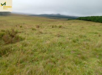 Rural · 47ha · Fazendinha em Cambará do Sul!!