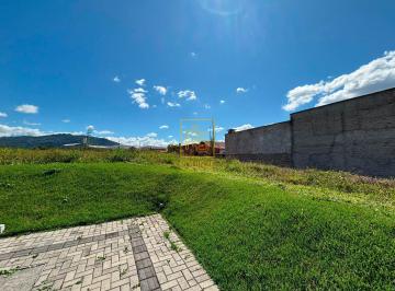 Terreno · 442m² · Terreno 442,81m² no Bairro Quintino