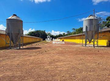 | Foto_migracao | 2 · GRANJA EM PLENA PRODUÇÃO - IMÓVEL RURAL ESTRUTURADO E ALTAMENTE PRODUTIVO, PLANALTINA DF