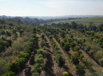 IMG_20260607_105150_000.jpeg · Excelente terreno rural para venda em Caiacatinga, 96,800m² - remaxfront#JXFJF