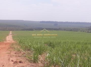 202412181137217686.jpeg · Fazenda para Venda em Tambaú, 11 km da cidade de Tambaú