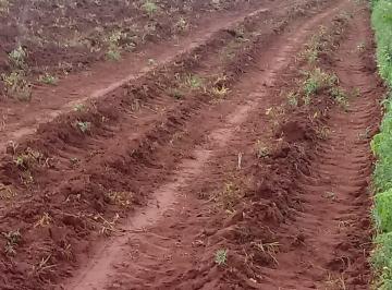 Rural , Barra do Garças · ARRENDAMENTO DE FAZENDA 1.800 HÁ. PARA LAVOURA EM BARRA DO GARÇA-MT