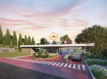 Terreno · 281m² · Terreno à venda - em Coronel Nassuca