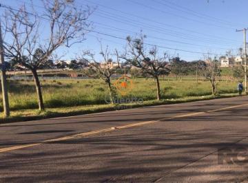Terreno · 4704m² · Amplo terreno com 4.704m²