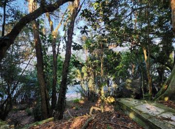 Terreno · 5322m² · Terreno à venda - em Pedra Redonda