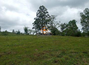 Rural · 119908m² · 3 Quartos · SITIO COM 12 HECTARES EM GUAIBA (RS)