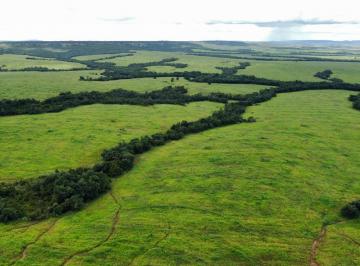 Rural , Paranatinga · ARRENDAMENT FAZENDA COM 3.000 HECTARES EM PARANATINGA