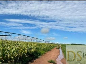 Foto 01 · FAZENDA DE 240 ALQUEIRES À VENDA EM AVARÉ/SP: DUPLA APTIDÃO, IRRIGAÇÃO, BENFEITORIAS E LOGÍSTICA PRI
