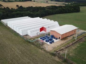 Terreno · 30244m² · Área Rural com 30.244m² , à venda, no bairro Área Rural Lapa em Lapa