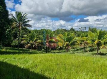 Rural · 19000m² · 3 Quartos · Vendo Fazenda na Area Rural de Ilhéus 