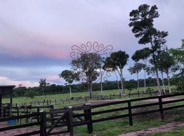 Rural · 500ha · 5 Quartos · Fazenda à venda em Pimenta Bueno, Rural, com 5 quartos, com 707 hectares