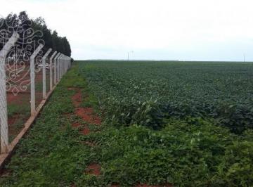Rural · 5ha · Chácara à venda em Sapezal, Zona Rural, com 5 hectares
