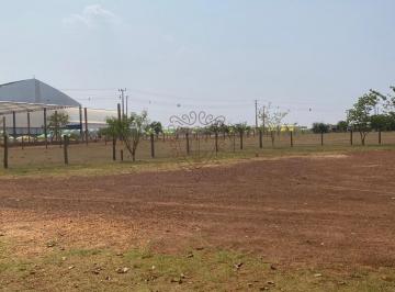 Rural · 4ha · Chácara à venda em Sapezal, Zona Rural, com 4 hectares
