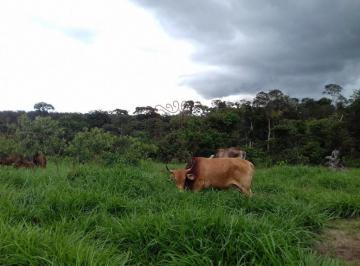 Rural · 49ha · Chácara à venda em Comodoro, Zona Rural, com 49.37 hectares