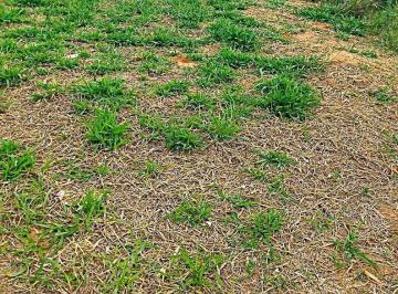 imagem · Terreno à venda em Indaiatuba, Jardim Casablanca, com 160 m²