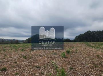 Rural · 70000m² · Área Rural em Primeira secção de castro, Carlos Barbosa/RS