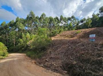 Terreno · 135000m² · Terreno à venda no bairro VILA DOZE - Antônio Carlos/SC
