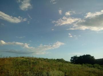 20240820162647_73333290952.jpg · Área Rural para Venda em Mariana Pimentel, Estrada Mina do Papaléo