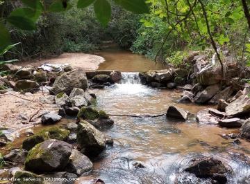 20240820162639_133333210710.jpg · Área Rural para Venda em Mariana Pimentel, Boqueirão