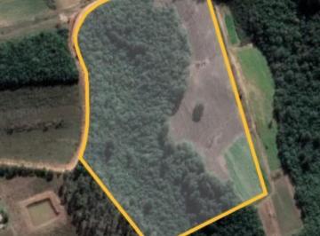 20240820162638_143333200991.jpg · Área Rural para Venda em Mariana Pimentel, Beco da Patrícia - Mariana Pimentel